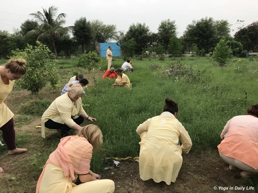 Guru Poornima evening